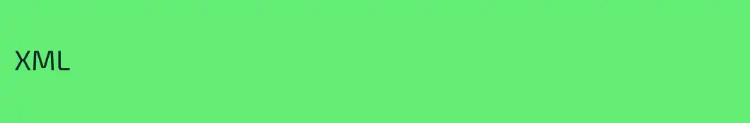 XML 